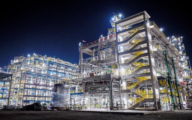 中國石化巴陵石化分公司己內(nèi)酰胺項目自備電廠.jpg